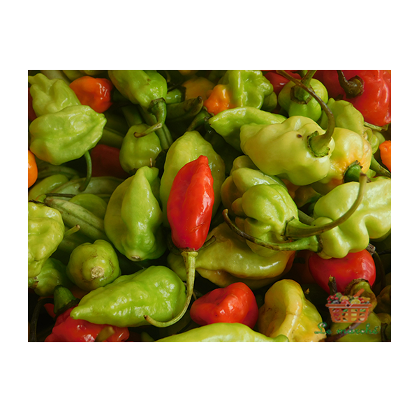 Piment Frais (1 tas~400 g)