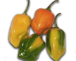 Piment sent bon (1 tas~200 g)