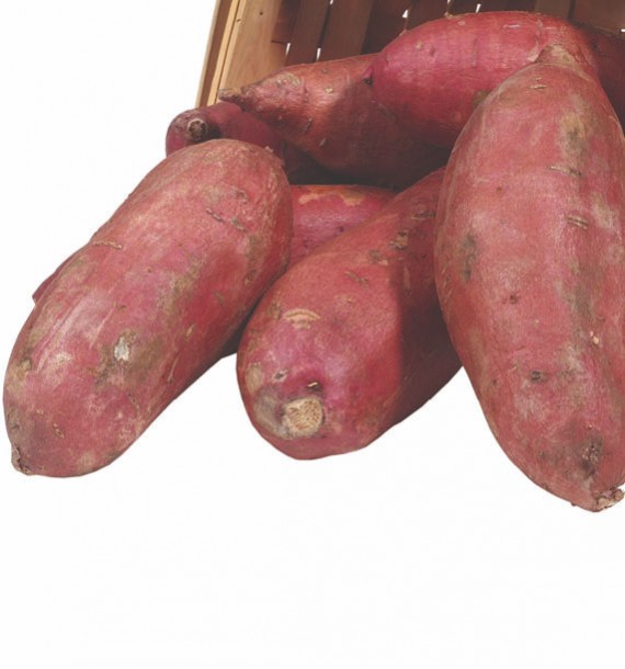 Patate douce rouge  1 kg